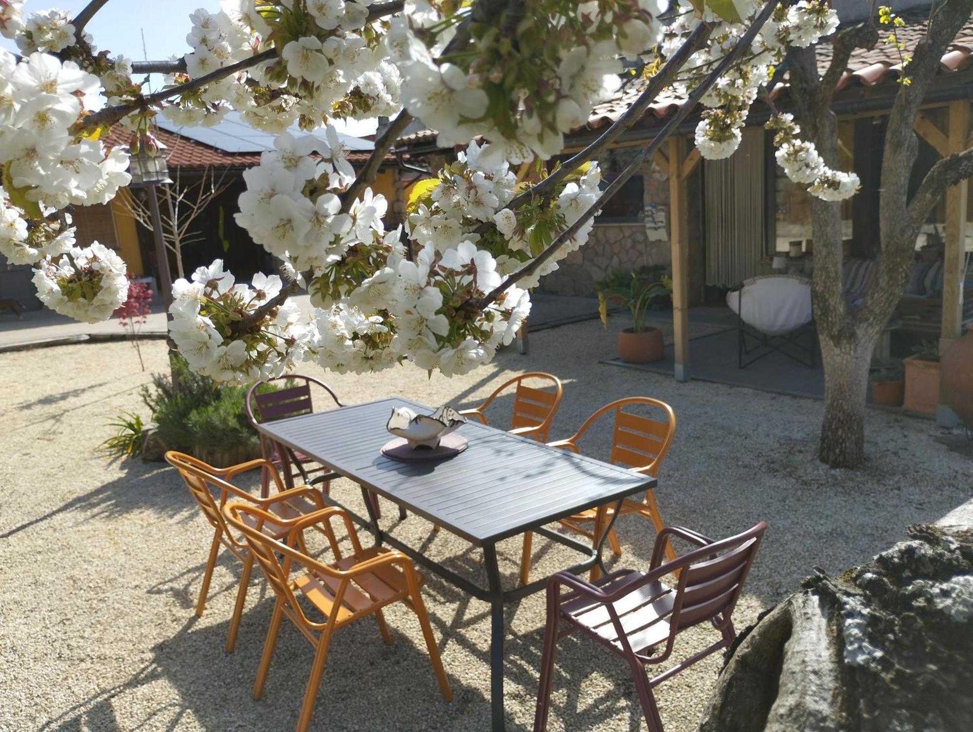 Apartamento Rural Se De Un Lugar El Torno  Exteriör bild